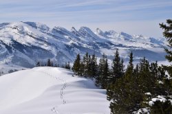 Vom Gulmen im Schnee zu den Churfirsten